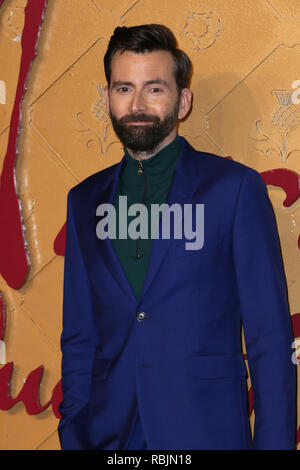 Die Weltpremiere von "Mary Queen of Scots", gehalten an der Cineworld Leicester Square - Ankunft mit: David Tennant Wo: London, Großbritannien Wann: 10 Dec 2018 Credit: Mario Mitsis/WENN.com Stockfoto