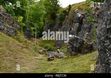 Ubley Warren auf der Mendip Hills in Somerset, die hier gezeigt werden, sind aus mineralischen Venen gearbeitet oder 'Rechen. Diese sind unter den ungleichen Grubenbaue Stockfoto