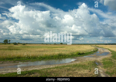 Große Pfützen auf unbefestigte Straße durch Felder, Horizont und blauer Himmel Stockfoto