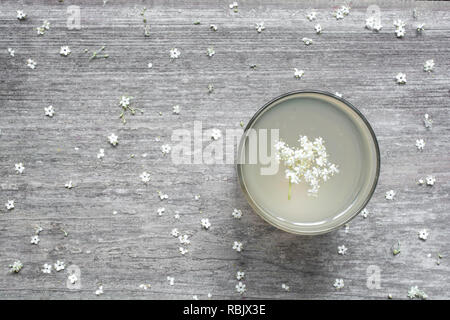 Hausgemachte Holunder Blume Sirup mit Blumen auf weißem Holztisch. gesunde pflanzliche trinken. top View Stockfoto