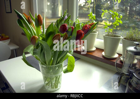 Blumenstrauß aus Tulpen in der Vase, stehend auf dem Tisch am Fenster Stockfoto