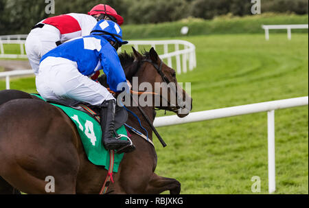 Zwei Rennen Pferde und Jockeys galoppierenden für Position auf der Rennstrecke Stockfoto