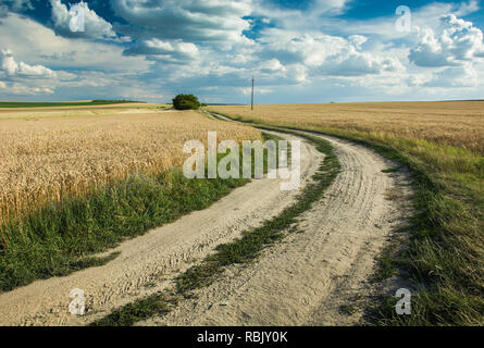 Unbefestigte Straße durch die Felder Richtung Horizont und Wolken im blauen Himmel Stockfoto