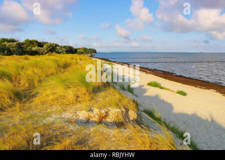 Poel Strand am Schwarzen Busch auf der Insel Poel in Deutschland Stockfoto