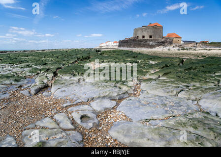 Jurassic rock Schichten bei Ebbe und Fort Mahon an Ambleteuse auf steinigen Nordseeküste ausgesetzt, Côte d'Opale/Opal Küste, Frankreich Stockfoto