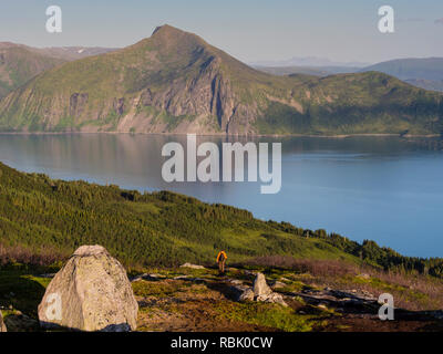 Wanderer Abstieg vom Berg Husfjell, Fjord Bergsfjord in der Rückseite, Insel Senja, Troms, Norwegen Stockfoto