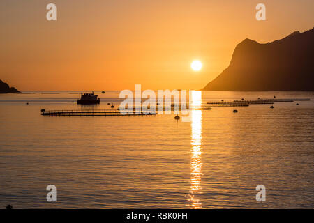 Lachszucht im Fjord Mefjord, Sonnenuntergang über dem Meer und Gebirge, Lachs, Senja, Troms, Norwegen Stockfoto