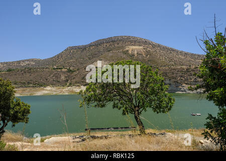 Single Tree mit schattigen Bank Germasogeia Dam Landschaft Blick auf einen strahlend blauen Himmel Tag Anfang Sommer. Stockfoto