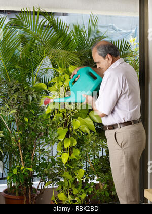 Alter Mann BEWÄSSERUNG VON PFLANZEN IN SEINEM HAUS Stockfoto
