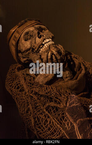 Bogota, Kolumbien, 16. März 2018, Muisca Mumie bei Gold Museum in Bogotoa (Museo del Oro) Stockfoto