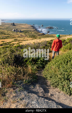 Ein Wanderer Pausen ein Ozean Küste in Sonoma Coast State Park zu bewundern. Stockfoto