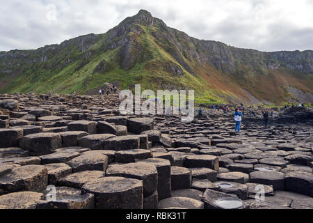 Giant's Causeway, das Ergebnis eines alten folcano Eruption und in die Liste als Weltkulturerbe, in Nordirland. Stockfoto