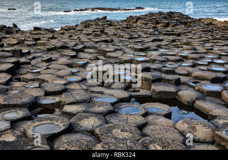 Giant's Causeway, das Ergebnis eines alten folcano Eruption und in die Liste als Weltkulturerbe, in Nordirland. Stockfoto