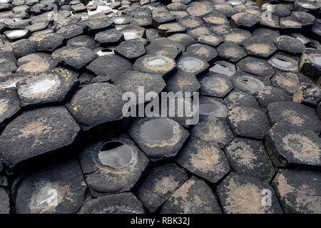 Giant's Causeway, das Ergebnis eines alten folcano Eruption und in die Liste als Weltkulturerbe, in Nordirland. Stockfoto