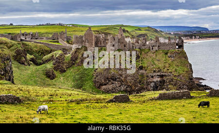 Das Dunluce Castle im County Antrim, Nordirland. Die mittelalterliche Burg als Grayjoy Schloss im Spiel der Throne vorgestellt. Stockfoto