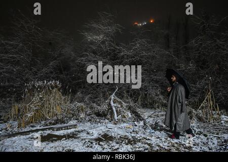 Ein Kaschmirischen junge Spaziergänge bei Schneefall in Srinagar, Indien verwalteten Kaschmir. Schneefall peitschten die meisten Teile des Kaschmir Valley am Donnerstag Abend als minimale Temperaturen über den Gefrierpunkt stieg. "Nassen Wetterbedingungen von leichter bis mäßiger Schneefall und Regen gekennzeichnet sind wahrscheinlich bis Januar 14, ein Wetter offizielle durchsetzen, sagte. Stockfoto