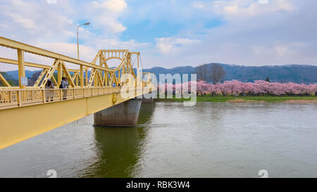 Voller Blüte Cherryblossom Sakura bei Kitakami Tenshochi Park in Kitakami, Iwate, Japan Iwate, Japan - 22 April 2018: kitakami Tenshochi Park von Stockfoto