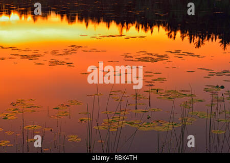 Sunrise Himmel in den Untiefen von Halfway Lake, Halfway Lake Provincial Park, Ontario, Kanada wider Stockfoto