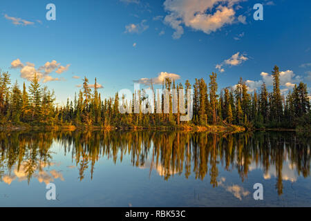 Reflexionen in einem Borealen Teich, Enterprise, Northwest Territories, Kanada Stockfoto