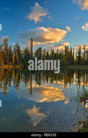 Reflexionen in einem Borealen Teich, Enterprise, Northwest Territories, Kanada Stockfoto