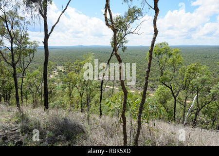 Die Aussicht von oben von kalkani Krater auf dem Schleifring oder Rim Walk, kalkani Krater, Undara Volcanic National Park, Queensland, Queensland, Australien Stockfoto