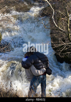 Ansicht der Rückseite des Paar beobachten springenden Lachs. Fluss Marteg SSSI, Gilfach Farm Nature Reserve, Radnorshire Wildlife Trust, November. Model Released Stockfoto