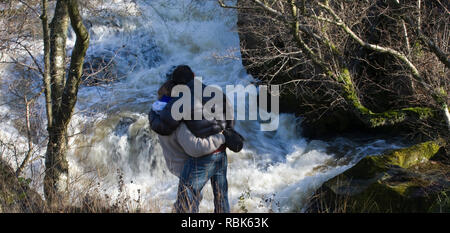 Ansicht der Rückseite des Paar beobachten springenden Lachs. Fluss Marteg SSSI, Gilfach Farm Nature Reserve, Radnorshire Wildlife Trust, November. Stockfoto