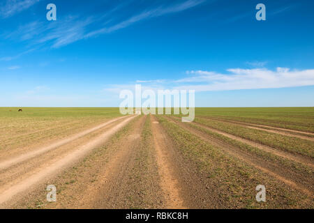 Vorläufige Straße Titel durch die ebene Landschaft mit perfekter blauer Himmel und wenig Wolken (Wüste Gobi, Mongolei, Asien) Stockfoto