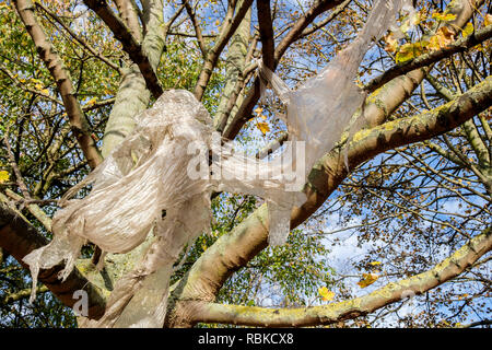 Kunststoffabfälle. Plastikfolien auf Zweigniederlassungen, die in einem Baum erstellen von Umweltverschmutzung, Nottingham, England, Großbritannien Stockfoto