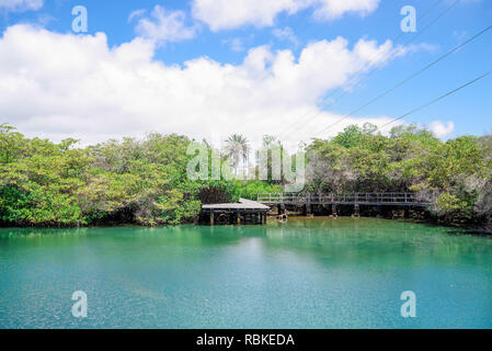 Laguna de Las Ninfas, einem Salzwasser-Lagune in der Stadt Puerto Ayora auf Santa Cruz Island auf den Galapagos Inseln. Stockfoto