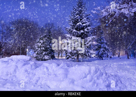 Winteridylle Park in der Nacht und Fußweg mit großen Schnee bedeckt