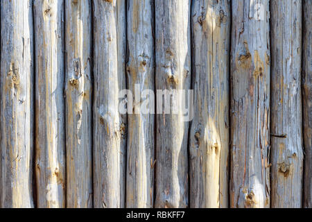 Hintergrund der Zaun von Stämme der Bäume Stockfoto