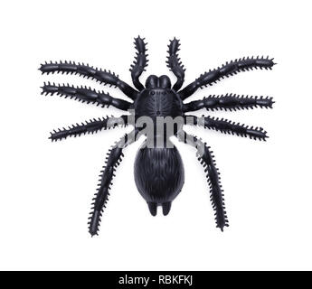 Gummi schwarz Spinne isoliert auf einem weißen Hintergrund. Stockfoto