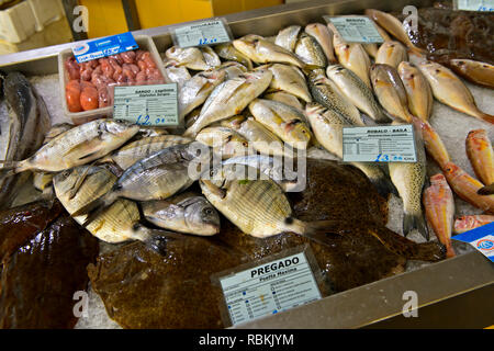 Frisch Fisch auf dem Fischmarkt, Tavira, Algarve, Portugal gefangen Stockfoto