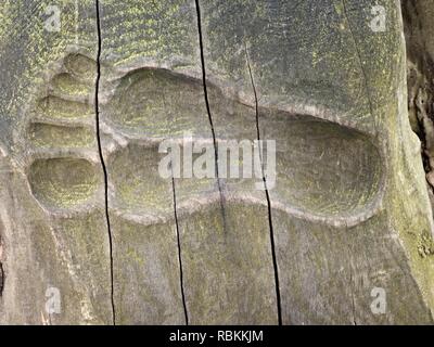 Zingst, Deutschland - 25. Januar 2018: Kunst und Attraktion auf der seebruecke - hölzerne Seebrücke in der Ostsee. Darss Halbinsel Fischland-Darß-Zingst Germ Stockfoto