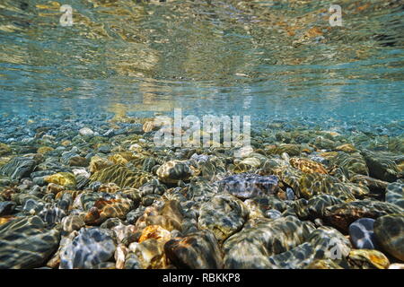 Kieselsteine unter Wasser unterhalb der Wasseroberfläche am Meer, Mittelmeer, Frankreich Stockfoto