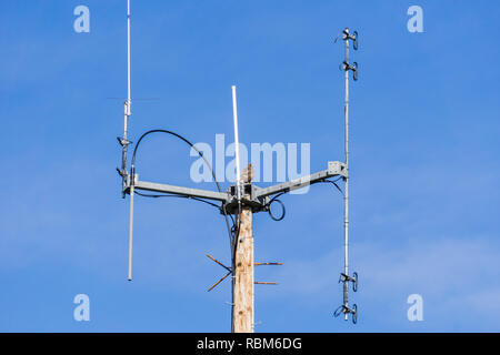 Red Hawk auf Telekommunikation Antenne tailed, Kalifornien Stockfoto