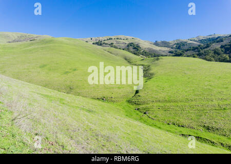 Gras bedeckten Hügeln, Trail zu Mission Peak, South San Francisco Bay, Kalifornien Stockfoto