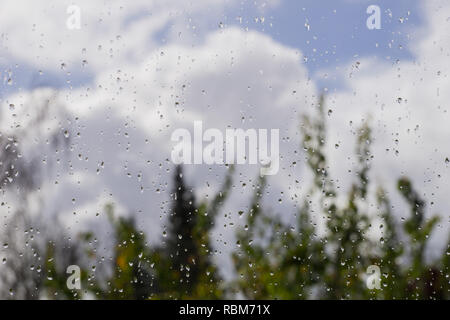 Regentropfen auf dem Fenster, unscharfen Bäume und Wolken im Hintergrund; die Sonne nach dem Regen, geringe Tiefenschärfe Stockfoto