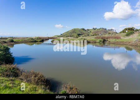 Teich in Don Edwards Wildlife Refuge, Blick Richtung Coyote Hills Regional Park, Fremont, San Francisco Bay Area, Kalifornien Stockfoto