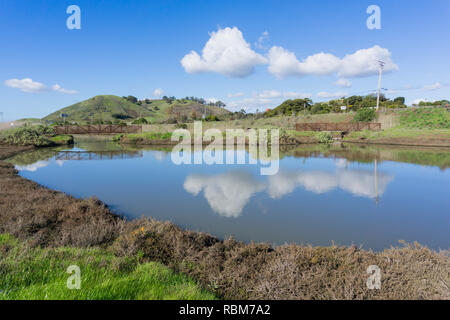 Teich in Don Edwards Wildlife Refuge, Blick Richtung Coyote Hills Regional Park, Fremont, San Francisco Bay Area, Kalifornien Stockfoto