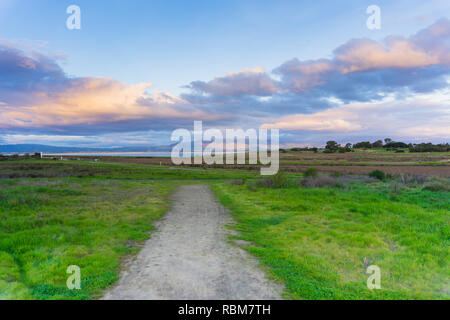 Trail bei Sonnenuntergang in der Shoreline Lake Park, Bergblick, Silicon Valley, San Francisco Bay, Kalifornien Stockfoto