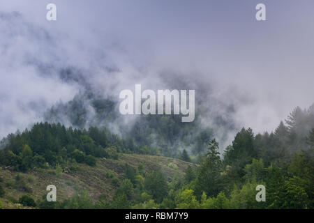 Nebel rollen über Hügel und Täler, Kalifornien Stockfoto