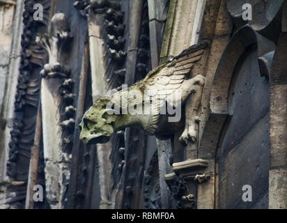 Gotische Wasserspeier in Moos auf der Fassade der berühmten Kathedrale Notre Dame de Paris in Paris Frankreich abgedeckt Stockfoto