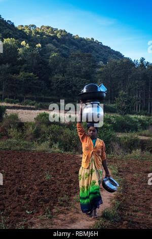 Frau balancing Wasser Töpfe, Araku, Andhra Pradesh, Indien, Asien Stockfoto