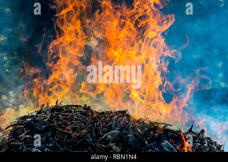 Hintergrund der großen Flammen und Feuer - Urkraft im Wald Stockfoto