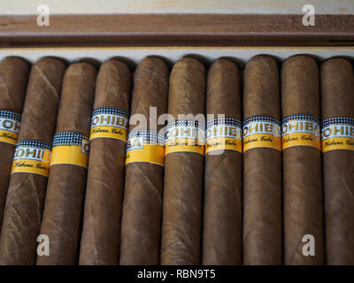 Hand Made kubanische Zigarren im Inneren des Gehäuses geschossen von oben Stockfoto