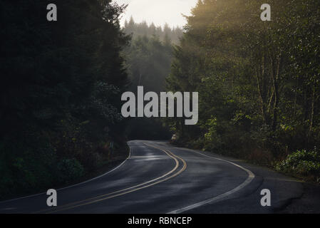 Foto der alten Wälder Straße im Staat Oregon Stockfoto