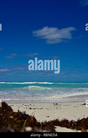 Strand mit weißem Sand und türkisfarbenem Wasser in Kuba Stockfoto