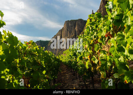 Weinberge auf den Rotenfels Bergmassiv Bad Münster am Stein-Ebernburg in der Nähe von Bad Kreuznach, Rheinland-Pfalz, Deutschland Stockfoto